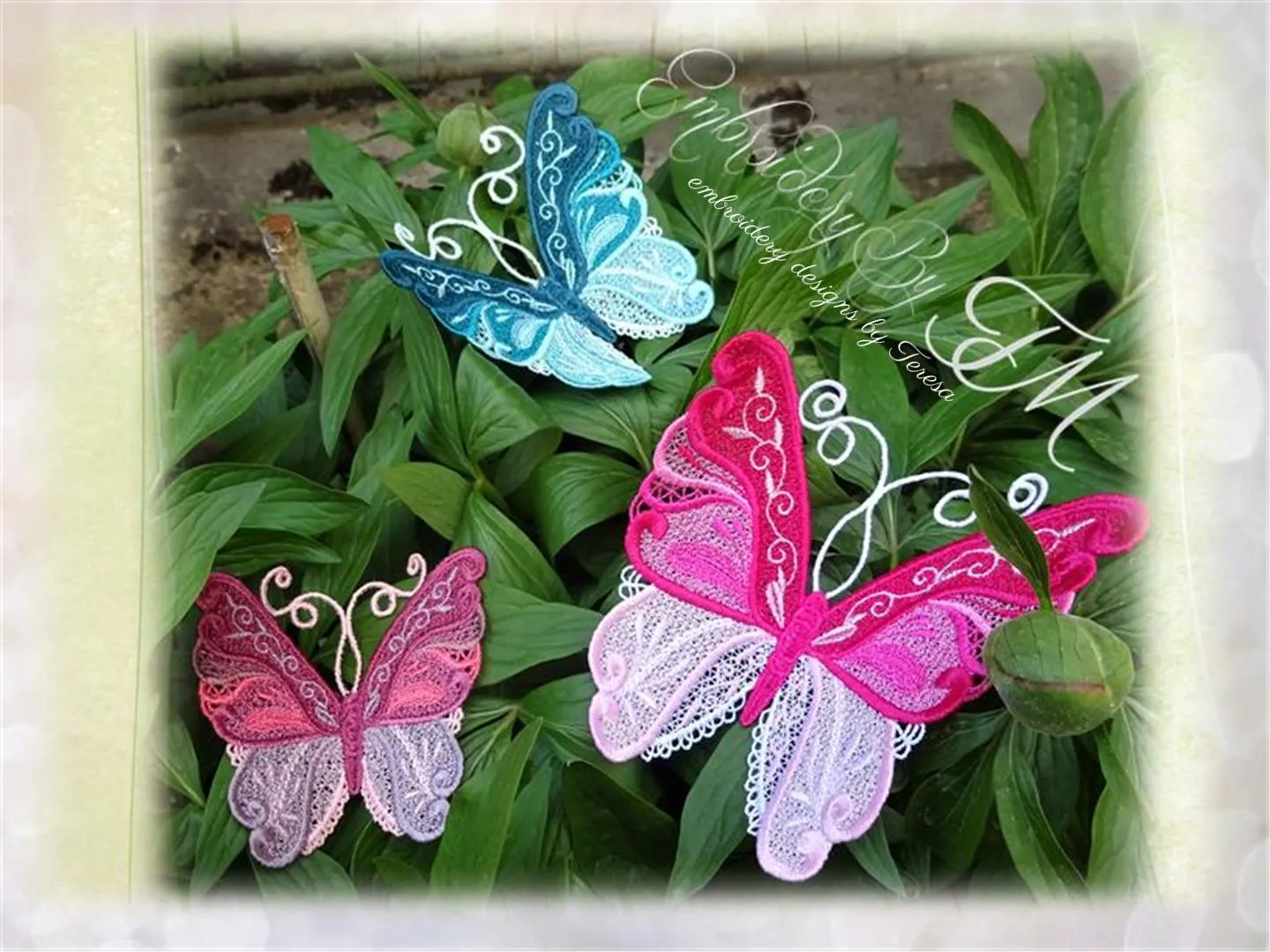 Butterfly colors/ three sizes