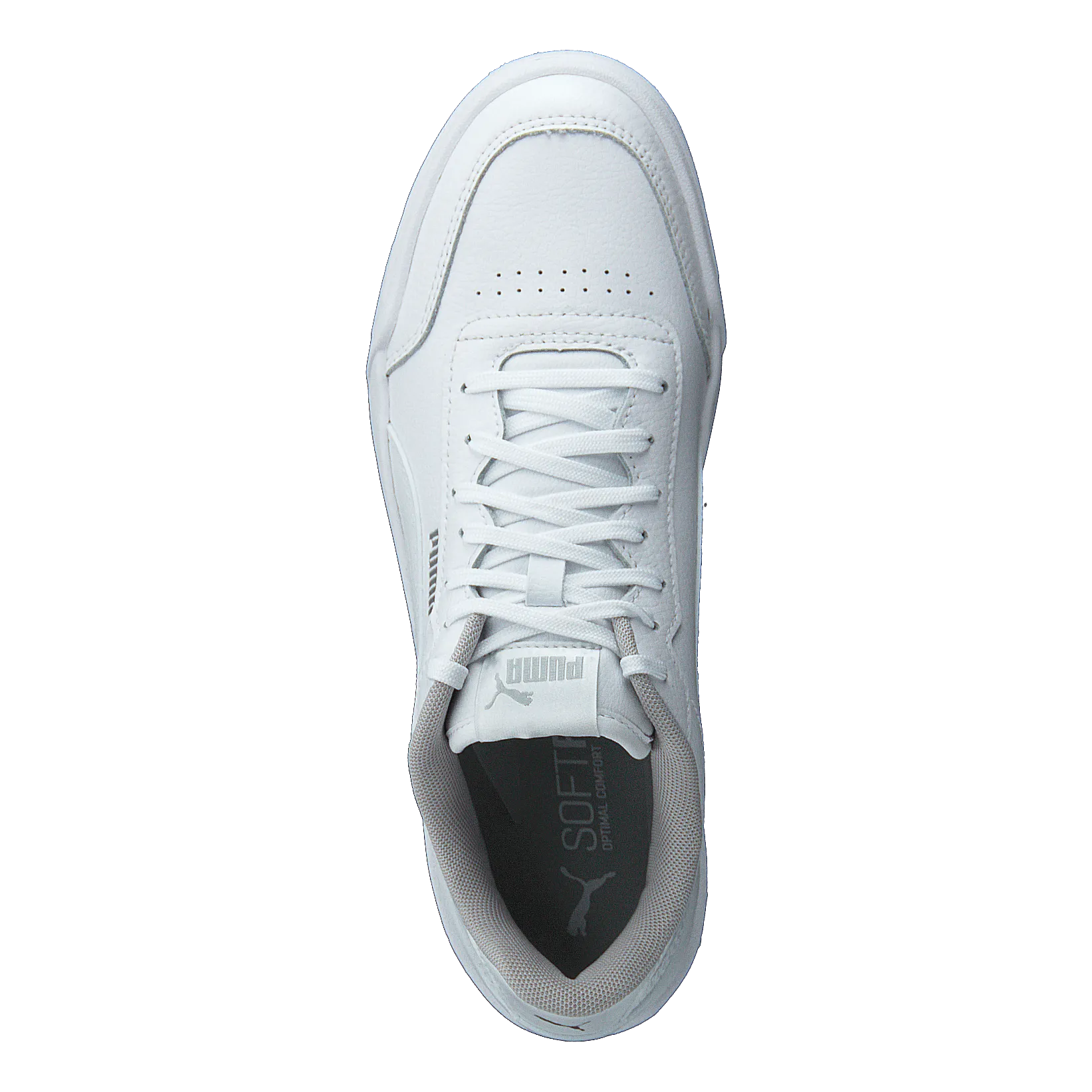 Caracal Jr Puma White-puma Silver