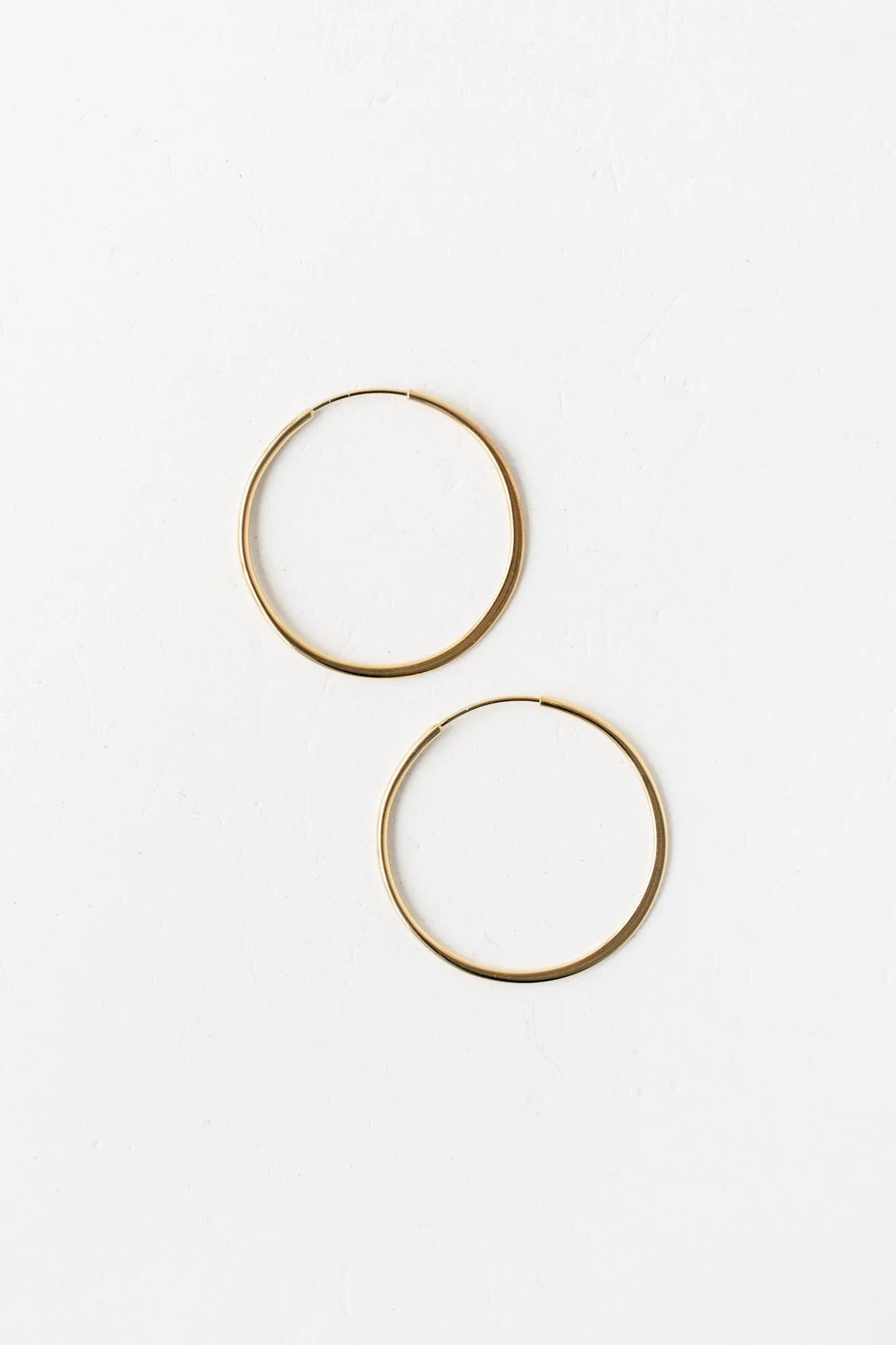 Concentric Endless Hoops