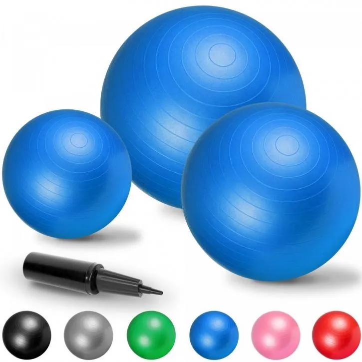 Gym Ball Fitness Ball 65cm - Blue