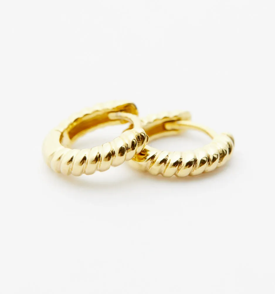 Small Gold Hoop Earrings