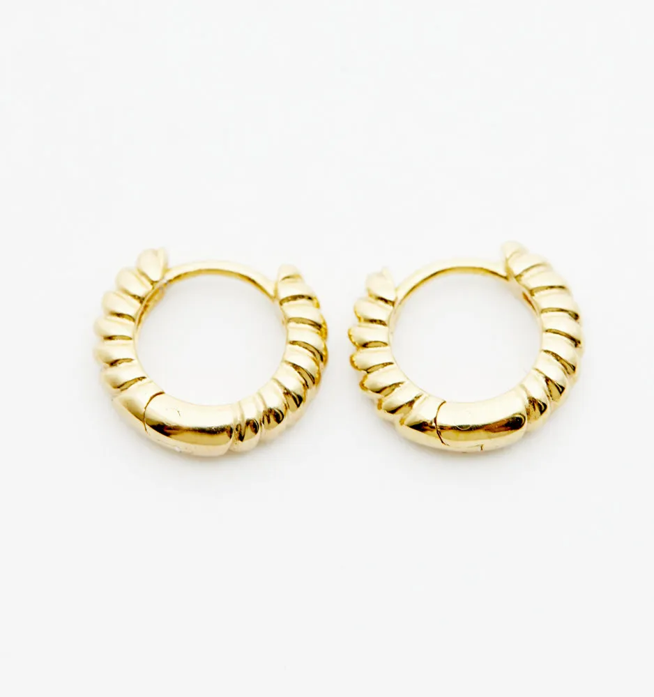 Small Gold Hoop Earrings